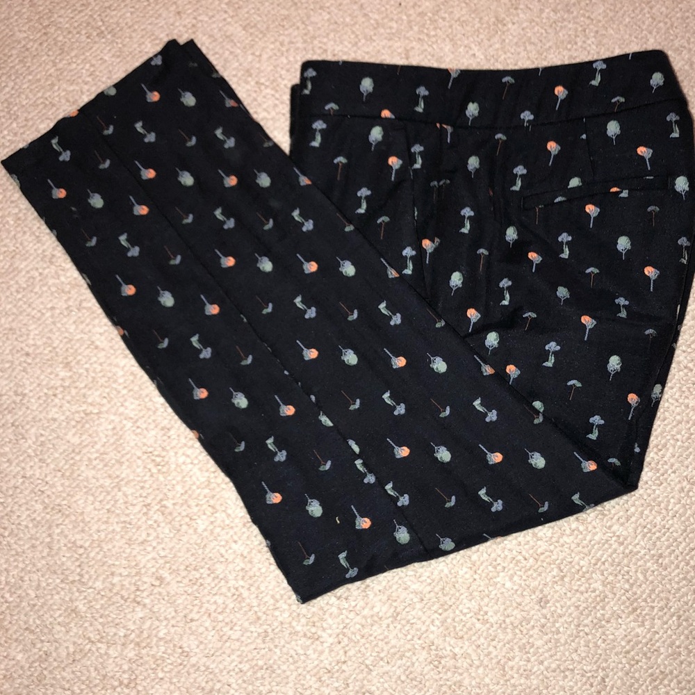 Ann Taylor 💰cropped pants- size 6P